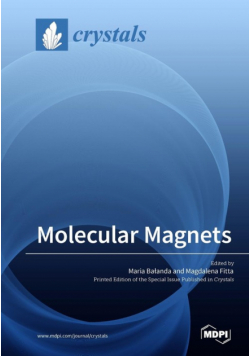 Molecular Magnets