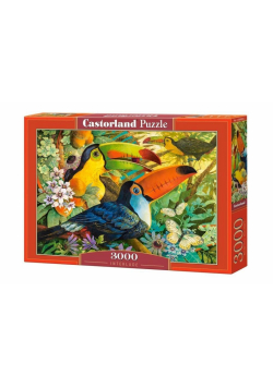 Puzzle 3000 Interlude CASTOR