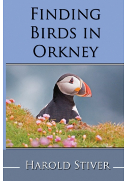 Finding Birds in Orkney