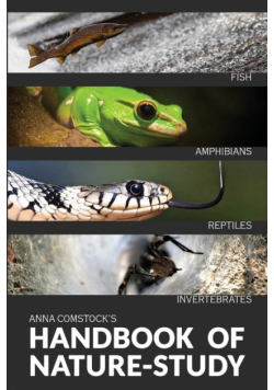 The Handbook Of Nature Study in Color - Fish, Reptiles, Amphibians, Invertebrates