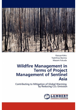 Wildfire Management in Terms of Project Management of Sentinel Asia
