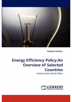 Energy Efficiency Policy