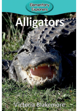 Alligators