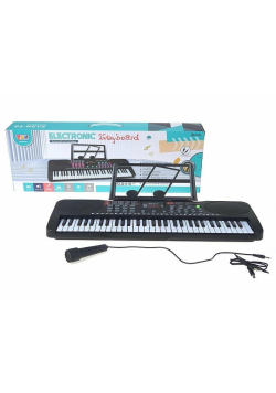 Organy z mikrofonem + ładowarka USB