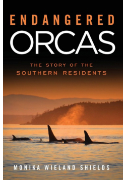 Endangered Orcas