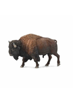 American Bison