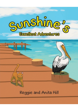Sunshine's Excellent Adventures