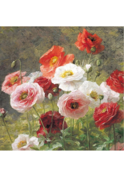 Karnet kwadrat z kopertą Poppies