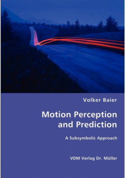 Motion Perception and Prediction