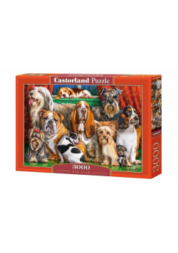 Puzzle 3000 Dog Club CASTOR