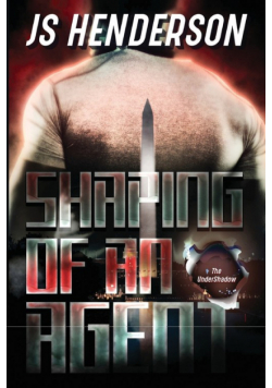 Shaping of an Agent