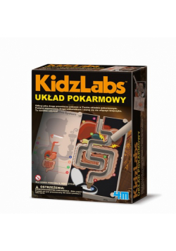 KidzLabs Układ pokarmowy