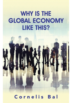 Why Is the Global Economy Like This?