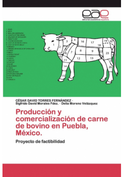 Producción y comercialización de carne de bovino en Puebla, México.