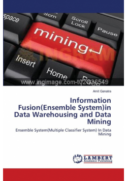 Information Fusion(Ensemble System)in Data Warehousing and Data Mining