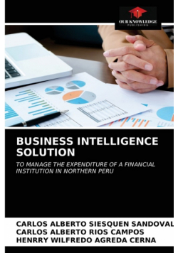 Business Intelligence Solution