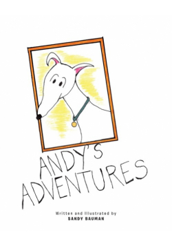 Andy's Adventures