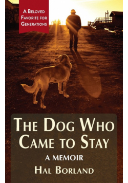 The Dog Who Came to Stay