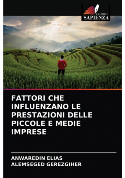 Fattori Che Influenzano Le Prestazioni Delle Piccole E Medie Imprese