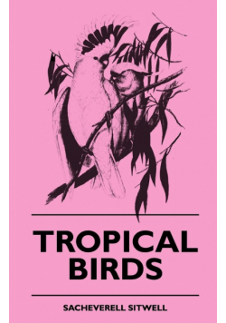 Tropical Birds