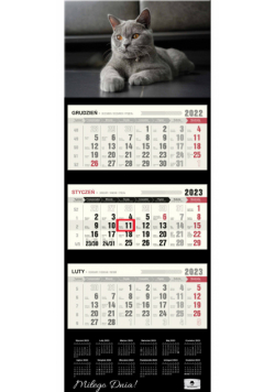 Kalendarz 2023 ścienny trójdzielny premium Kot