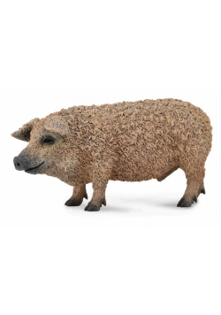 Świnia węgierska Mangalica