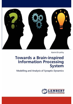 Towards a Brain-inspired Information Processing System