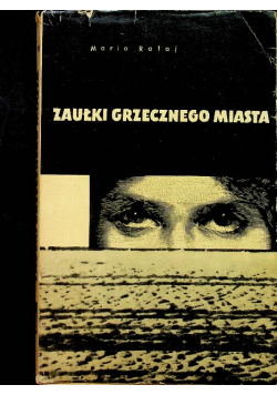 Zaułki grzecznego miasta