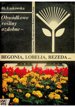Obwódkowe rośliny ozdobne Begonia Lobelia Rezeda