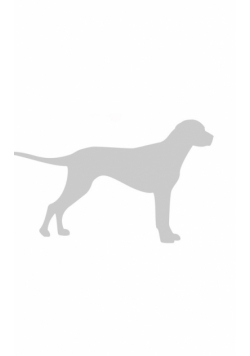 Dog  Minamilist Journal