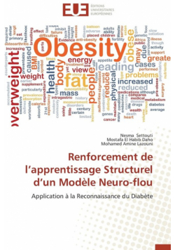 Renforcement de l apprentissage structurel d un modèle neuro-flou
