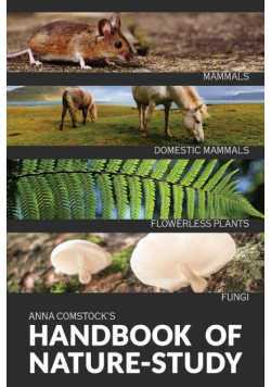 The Handbook Of Nature Study in Color - Mammals and Flowerless Plants