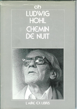 Chemin de nuit