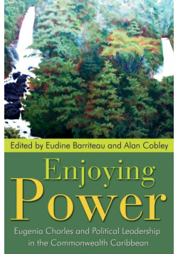 Enjoying Power