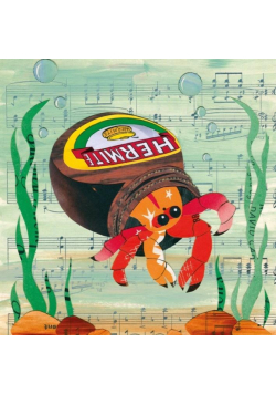 Karnet kwadrat z kopertą Hermite Crab