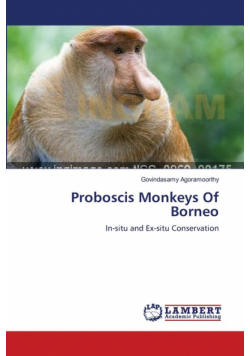 Proboscis Monkeys Of Borneo