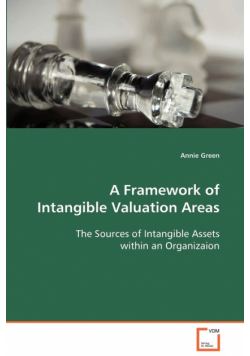 A Framework of Intangible Valuation Areas