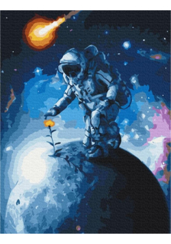 Malowanie po numerach - Kwiaty wszechświata 40x50