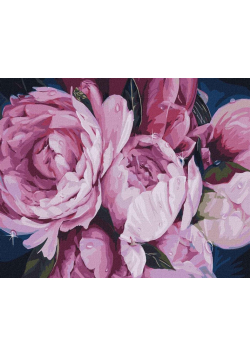 Malowanie po numerach - Czułość piwonii 40x50cm