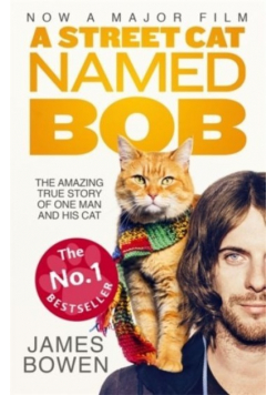 A street cat named bob