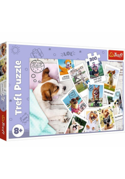 Puzzle 300 Zdjęcia z wakacji TREFL