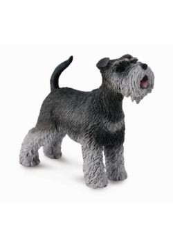 Schnauzer M