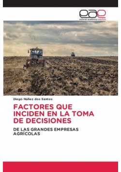 Factores Que Inciden En La Toma De Decisiones