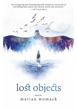 Lost Objects