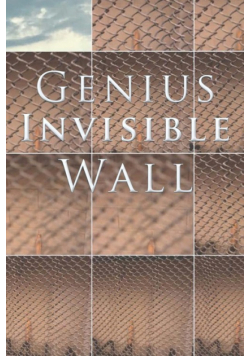 Genius Invisible Wall
