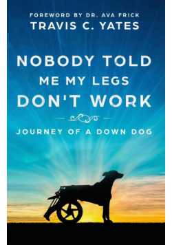 Nobody Told Me My Legs Don't Work