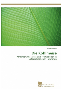 Die Kohlmeise