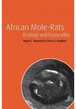African Mole-Rats
