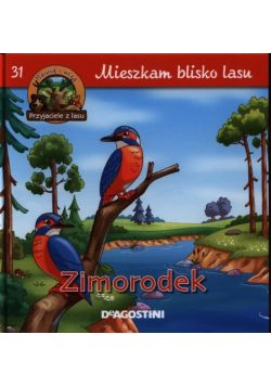 Mieszkam blisko lasu 31  Zimorodek