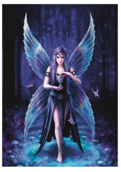 Puzzle 1000 Anne Stokes - Zachwyt